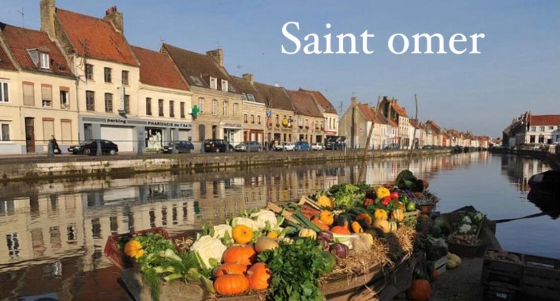 Le Clos Des Bambous Saint-Martin-Lez-Tatinghem Esterno foto