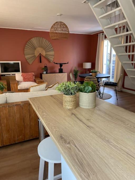 Le Clos Des Bambous Saint-Martin-Lez-Tatinghem Esterno foto