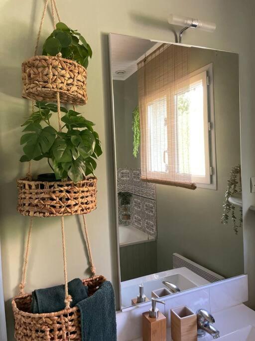 Le Clos Des Bambous Saint-Martin-Lez-Tatinghem Esterno foto