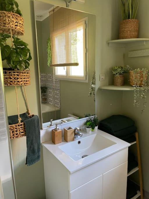 Le Clos Des Bambous Saint-Martin-Lez-Tatinghem Esterno foto